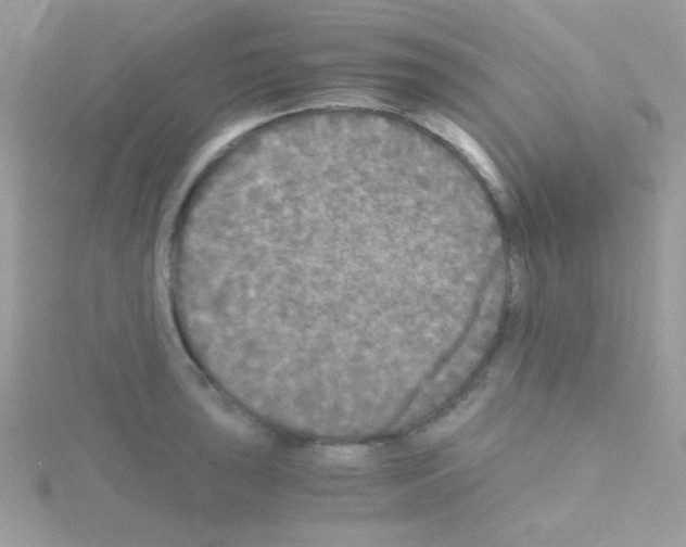 X0000114391043200911271454