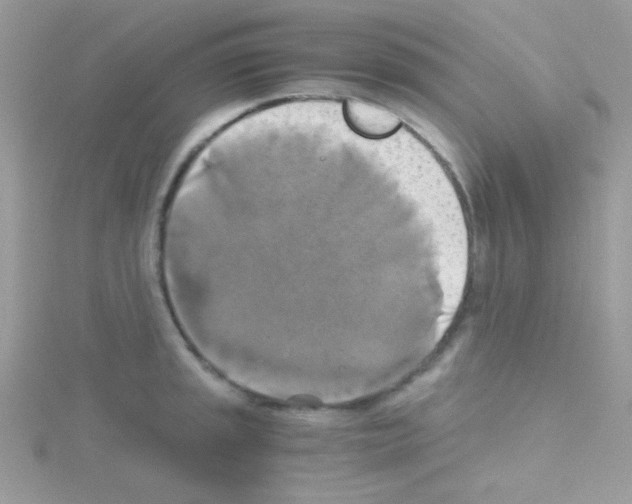 X0000114391045200911271454