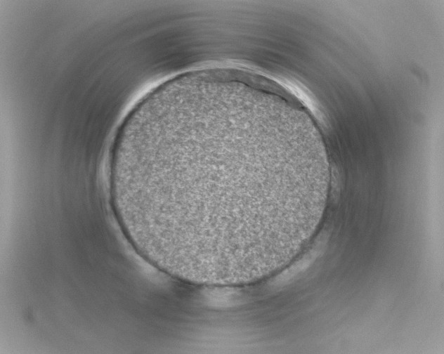 X0000114391046200911271454