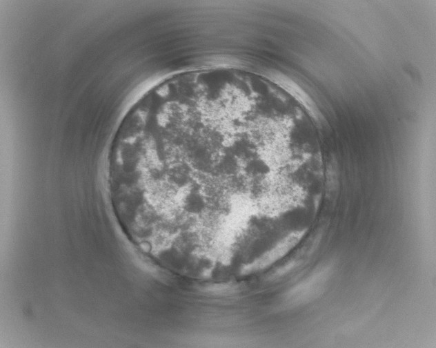 X0000114391047200911271454