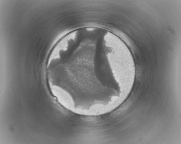 X0000114391048200911271454