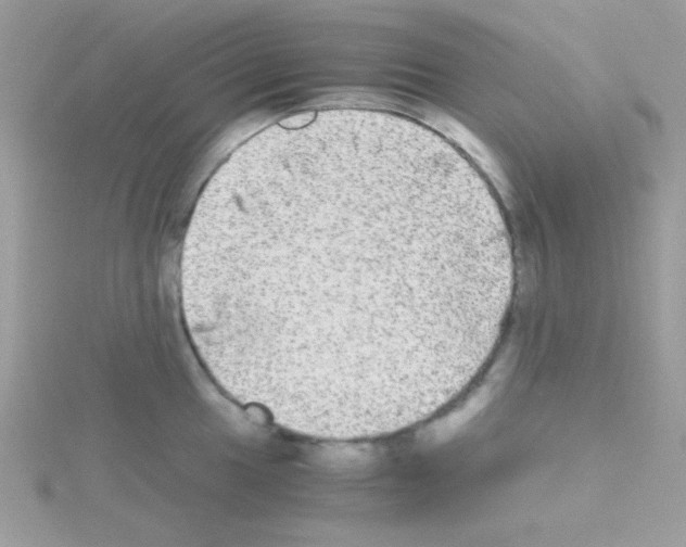 X0000114391049200911271454