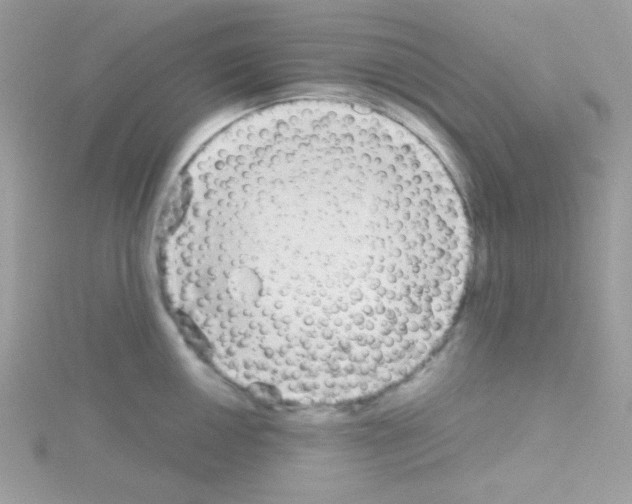 X0000114391050200911271454