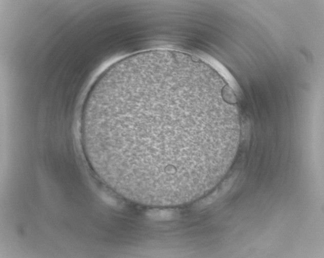 X0000114391051200911271454