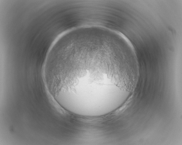 X0000114391052200911271455