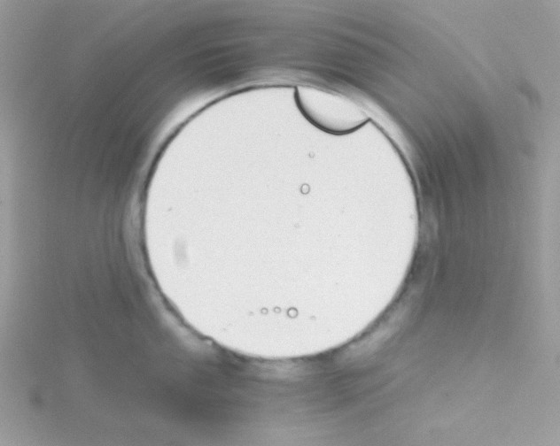 X0000114391053200911271455