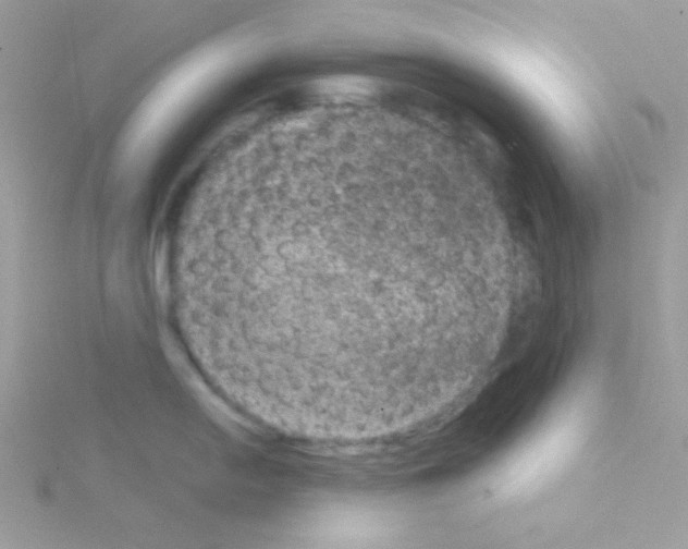 X0000114391054200911271455