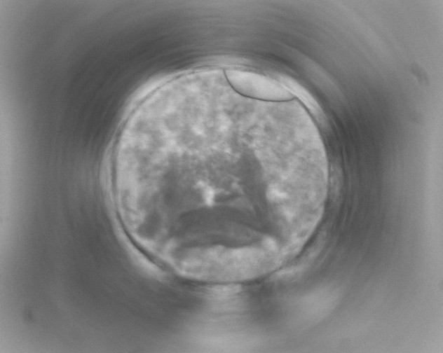 X0000114391055200911271455