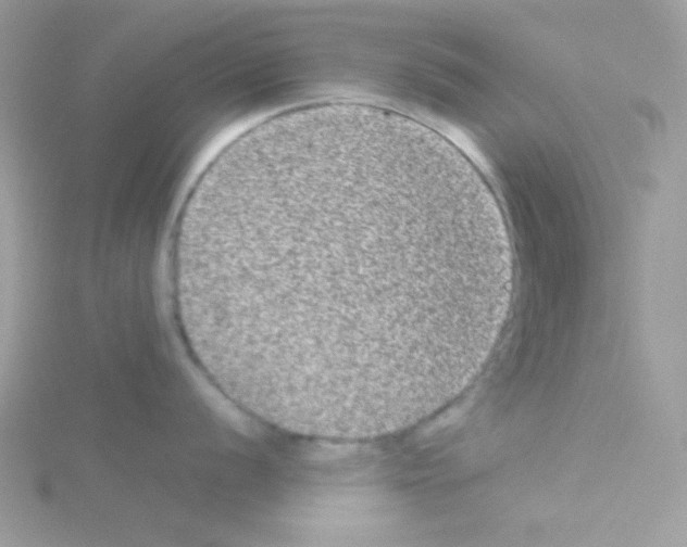 X0000114391056200911271455