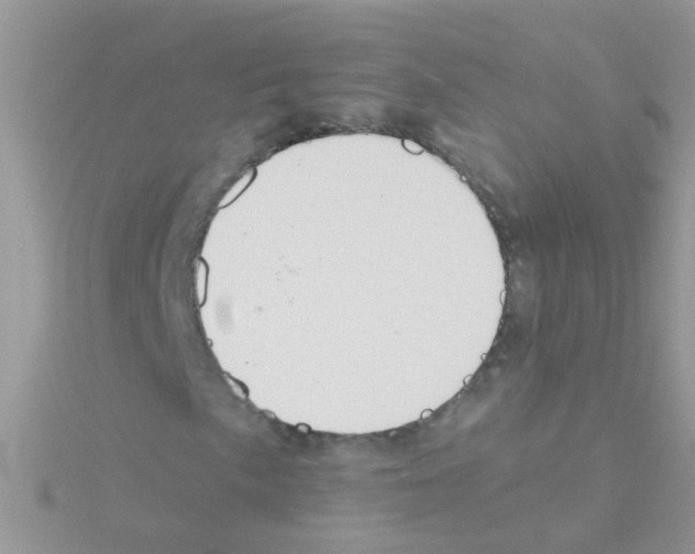 X0000114391057200911271454