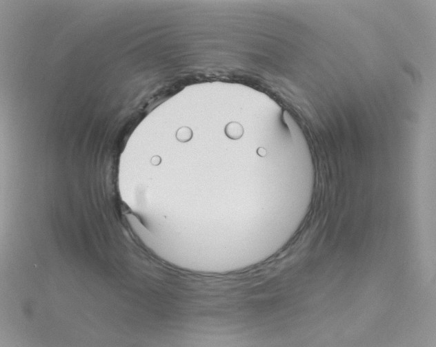 X0000114391060200911271454