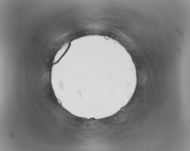 X0000114391061200911271454