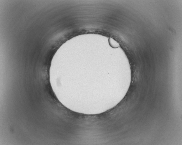 X0000114391062200911271454