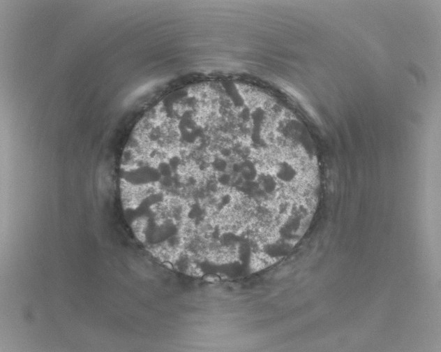 X0000114391063200911271454