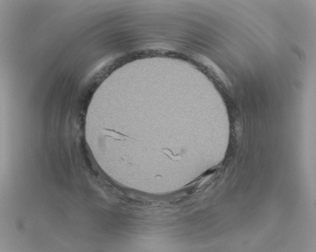 X0000114391064200911271454