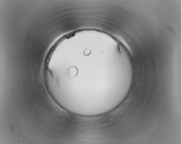 X0000114391068200911271454