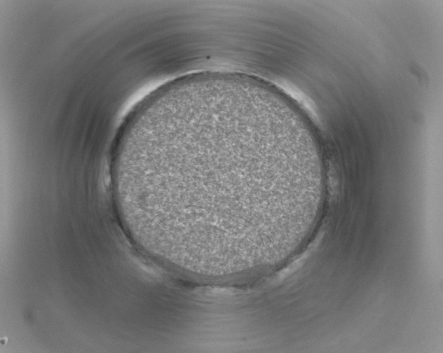 X0000114391070200911271454