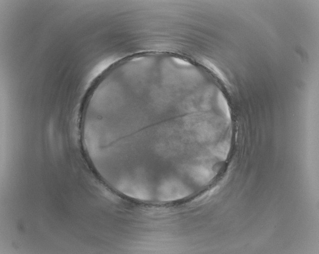 X0000114391071200911271454