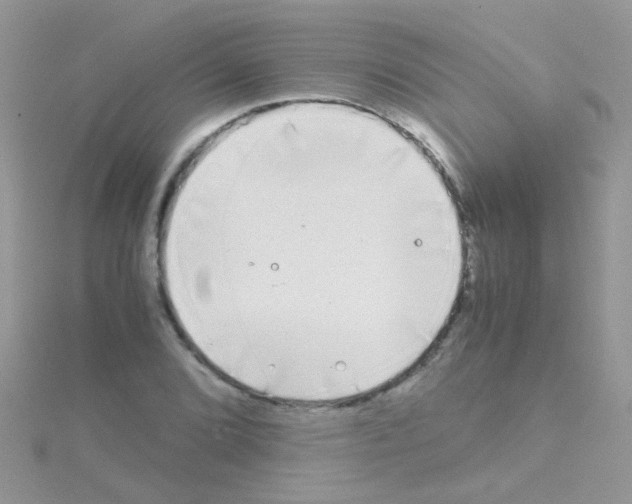 X0000114391072200911271454