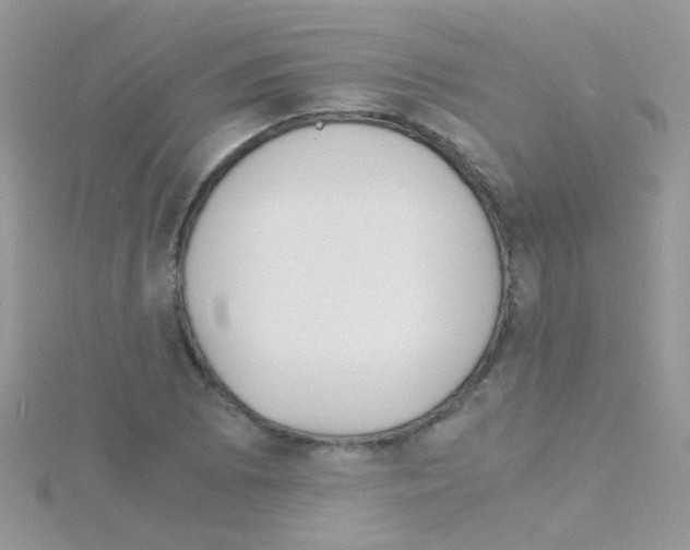 X0000114391073200911271454