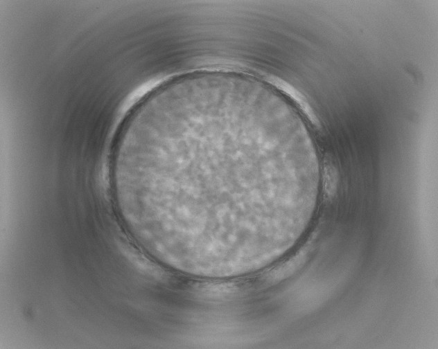 X0000114391074200911271454