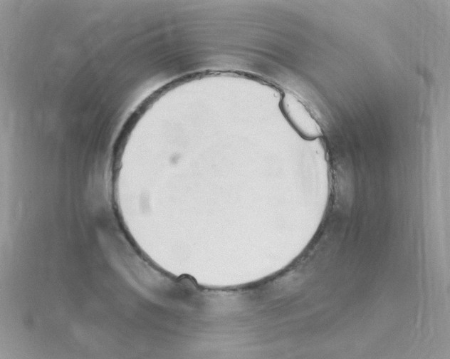 X0000114391076200911271454