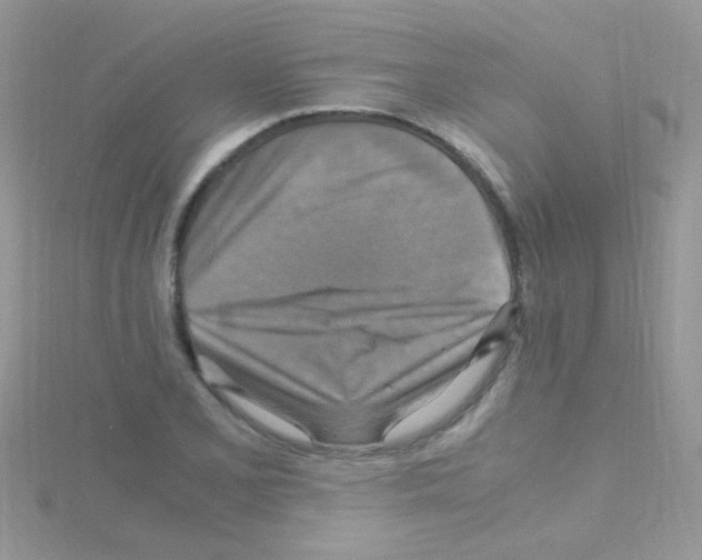 X0000114391077200911271454