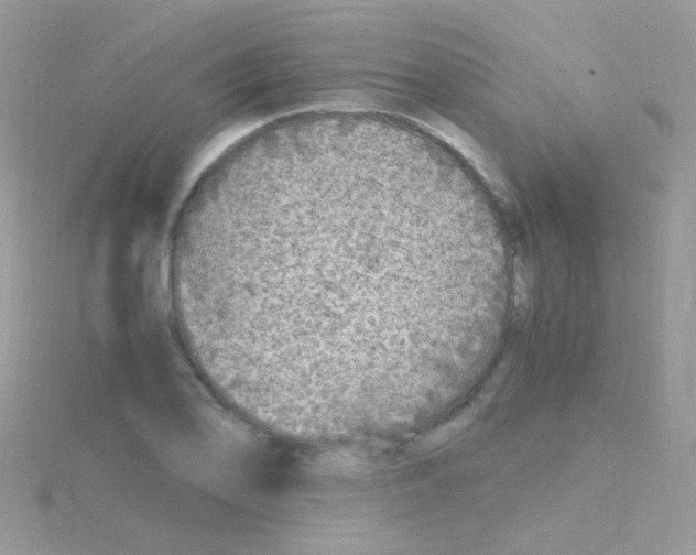 X0000114391078200911271454