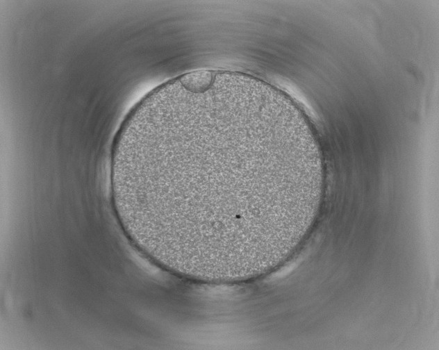 X0000114391079200911271454