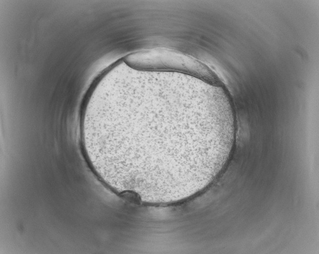 X0000114391080200911271454