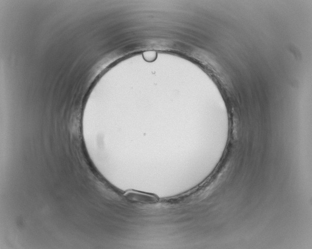 X0000114391081200911271454