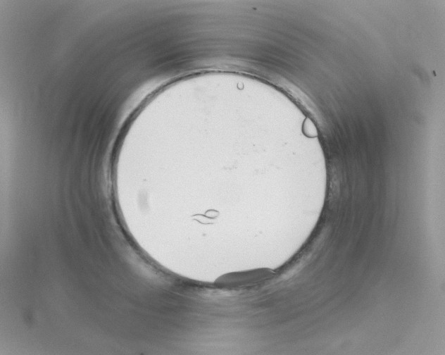 X0000114391082200911271453