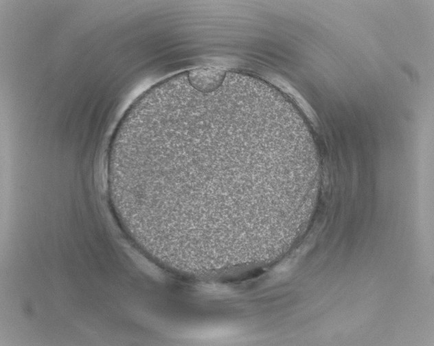 X0000114391083200911271453