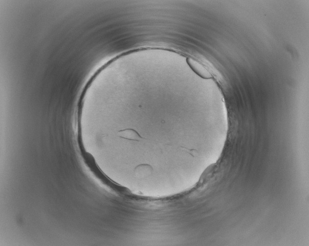 X0000114391084200911271453