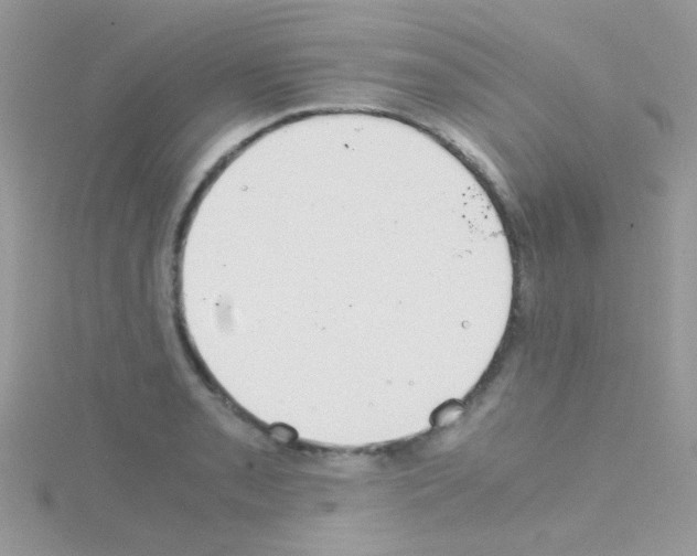 X0000114391085200911271453