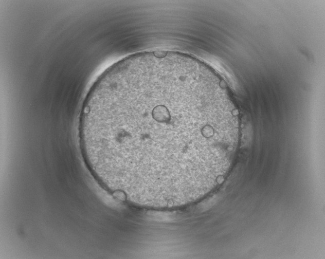 X0000114391086200911271453