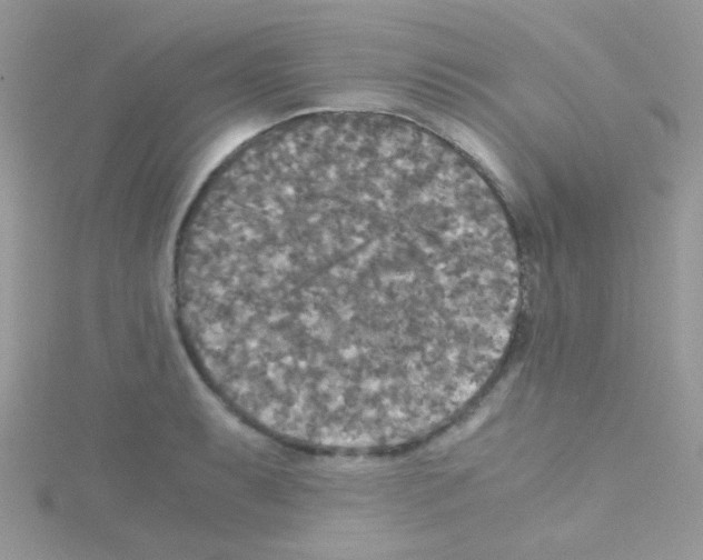 X0000114391087200911271453