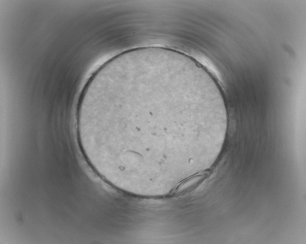 X0000114391088200911271453