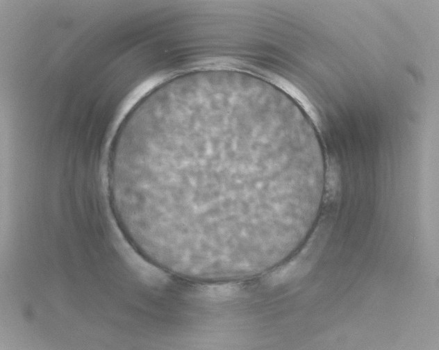 X0000114391090200911271453