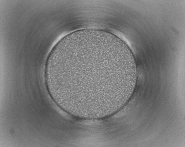 X0000114391091200911271453