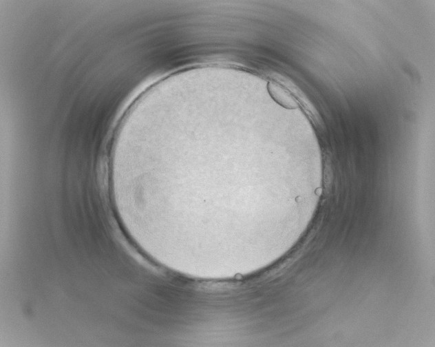 X0000114391092200911271453