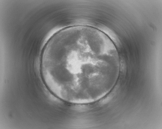 X0000114391094200911271453