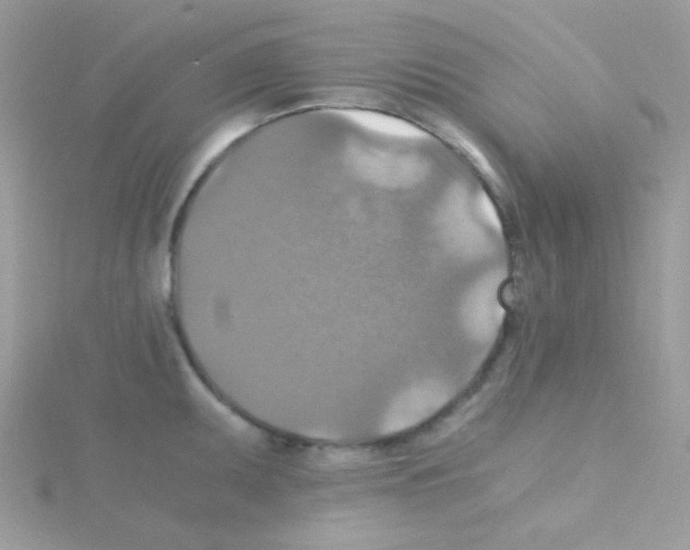 X0000114391095200911271453