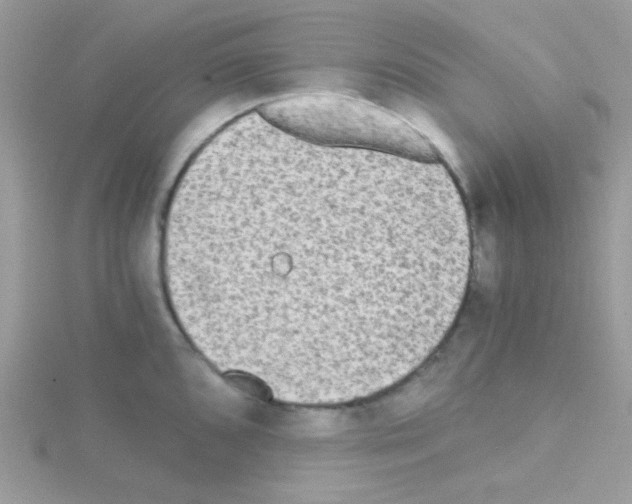 X0000114391096200911271453