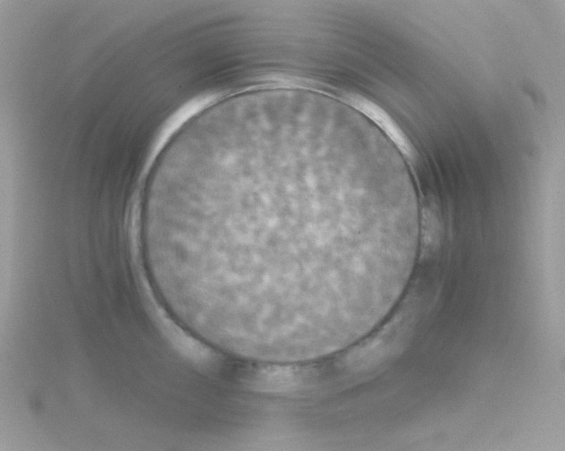 X0000114391098200911271453