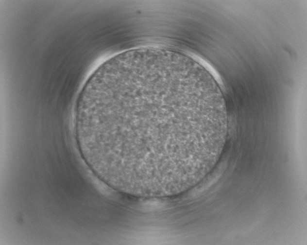 X0000114391099200911271453