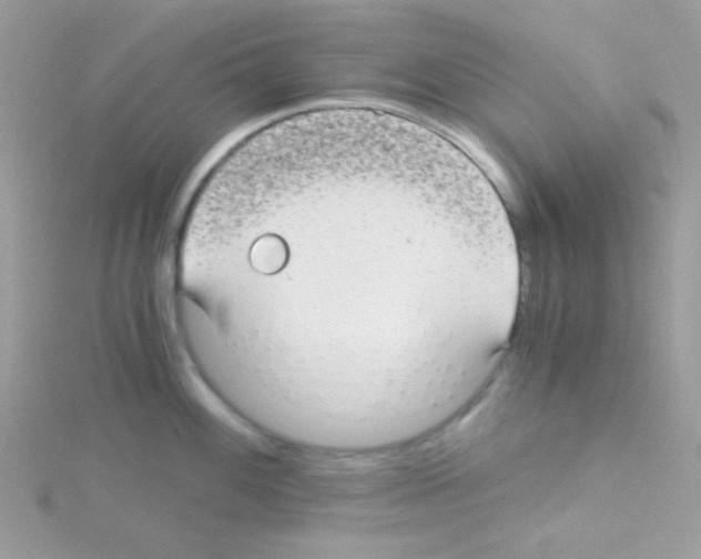 X0000114391100200911271453