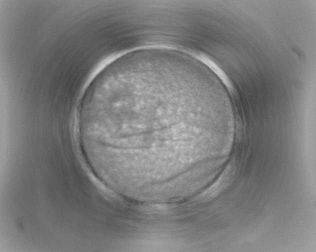 X0000114391101200911271453