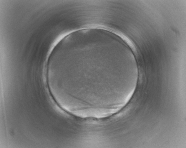 X0000114391102200911271453