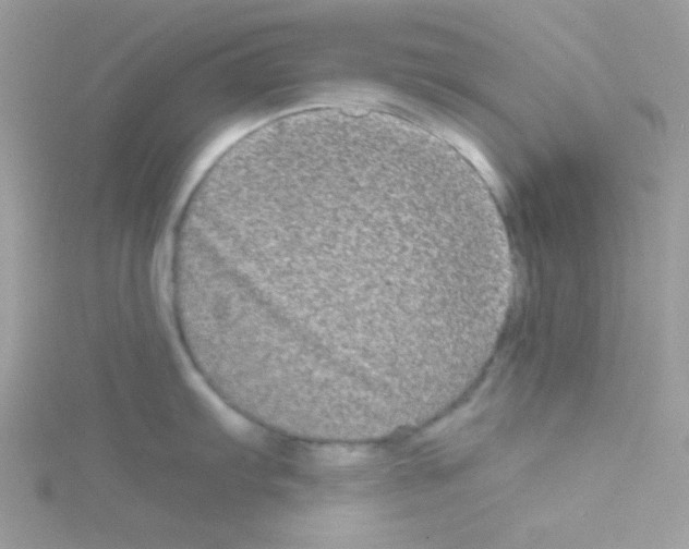 X0000114391103200911271453